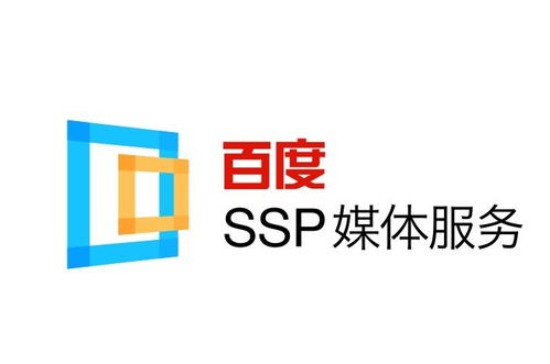 蜘蛛池搭建要多少钱
